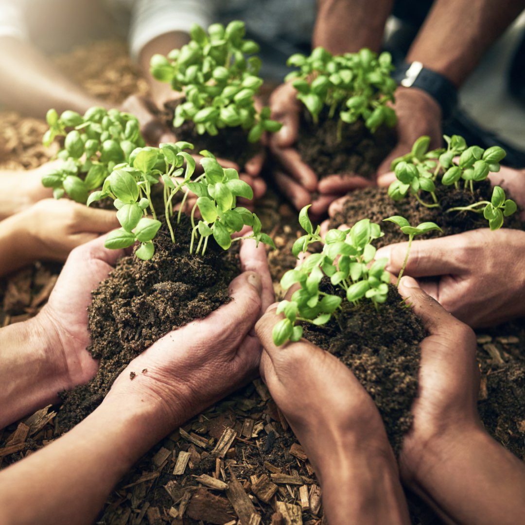 Sapiens Leadership - We develop your cross cultural leadership teams