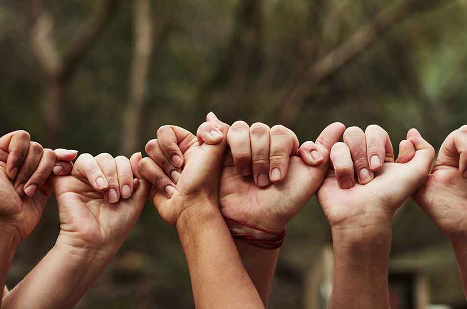 Sapiens Leadership - We develop your cross cultural leadership teams